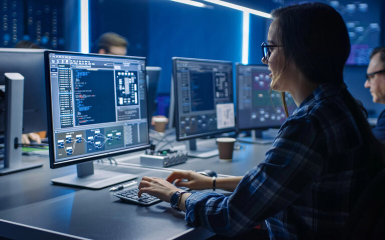 senior IT manager working with client